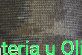 Klasik Camouflage138.jpg