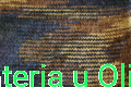 Klasik Camouflage 135.jpg